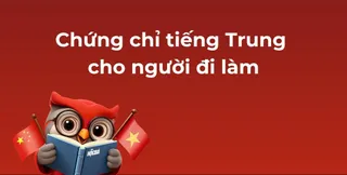 chung-chi-tieng-trung-cho-nguoi-di-lam