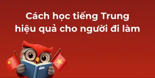 caÌch hoÌ£c tieÌÌng Trung hieÌ£Ìu quaÌ cho nguÌoÌÌi Äi laÌm